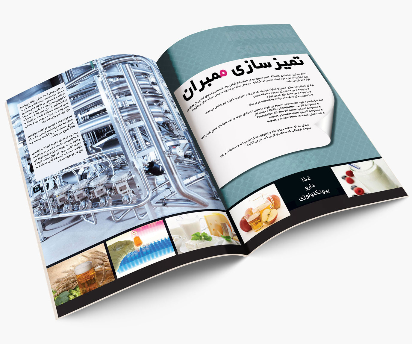 catalog-1
