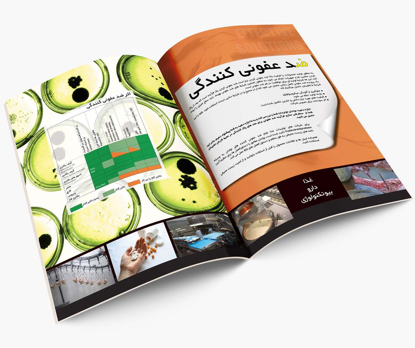 catalog-3